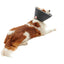 KRUUSE | Collar isabelino BUSTER foam - secondary packshot or packaging