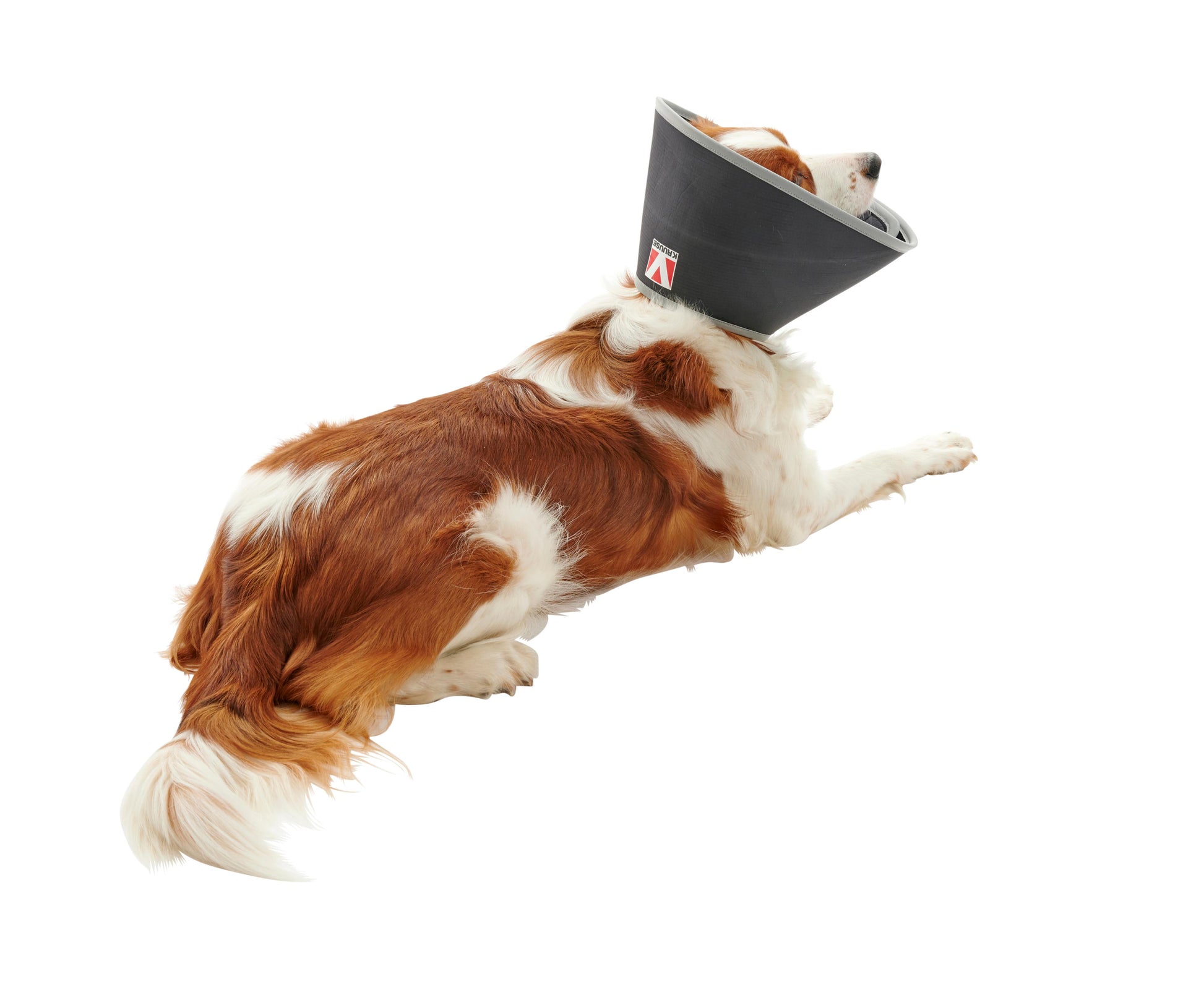 KRUUSE | Collar isabelino BUSTER foam - secondary packshot or packaging