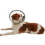 KRUUSE | Collar isabelino BUSTER quick - secondary detail or packaging