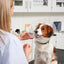 KRUUSE | Collar isabelino BUSTER clic - secondary detail or packaging