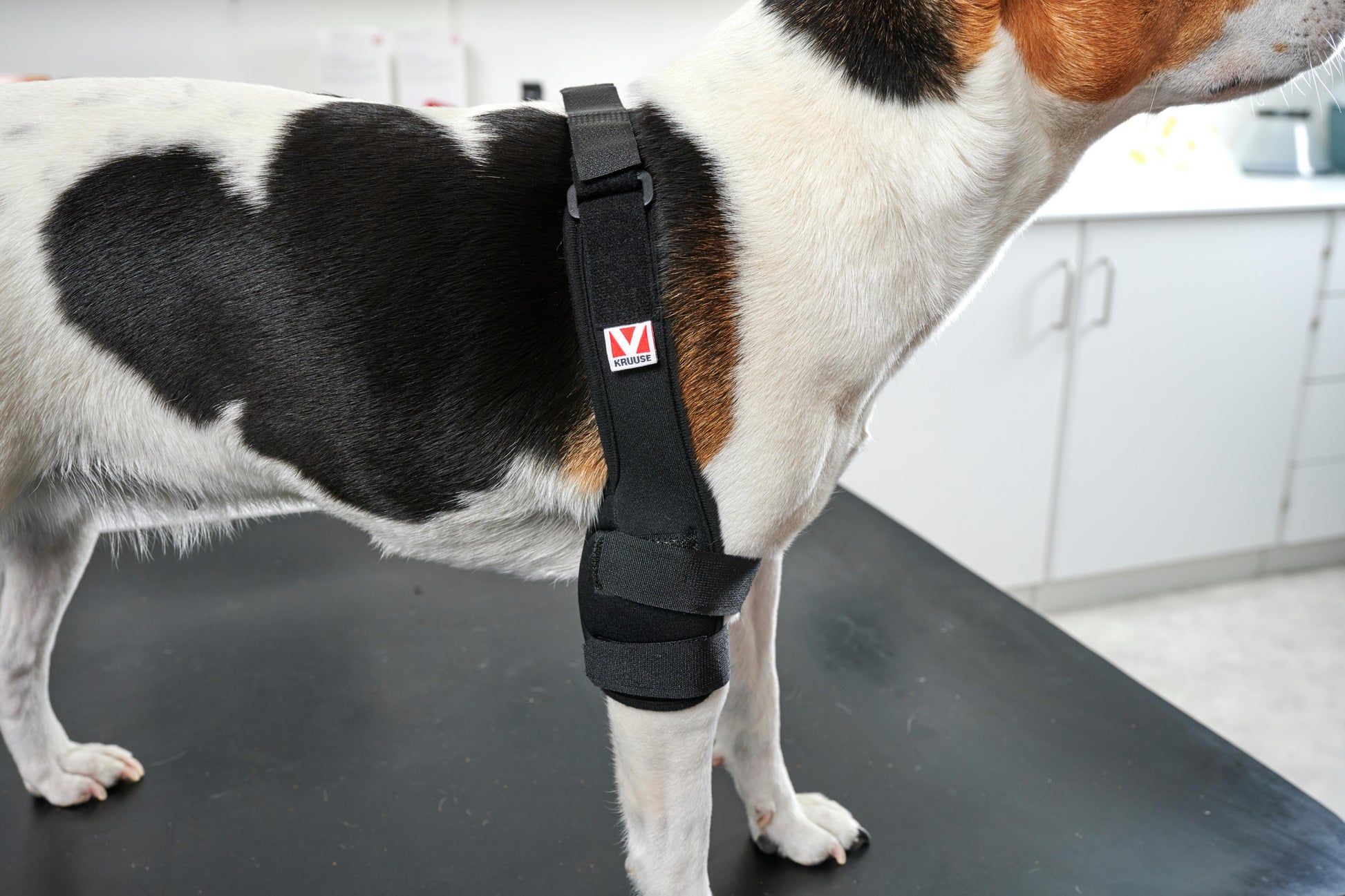 KRUUSE | Protector de codo KRUUSE rehab pro - secondary packshot or packaging