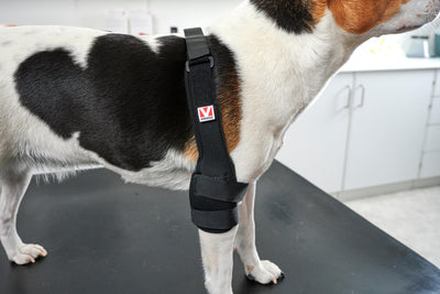 KRUUSE | Protector de codo KRUUSE rehab pro - secondary packshot or packaging