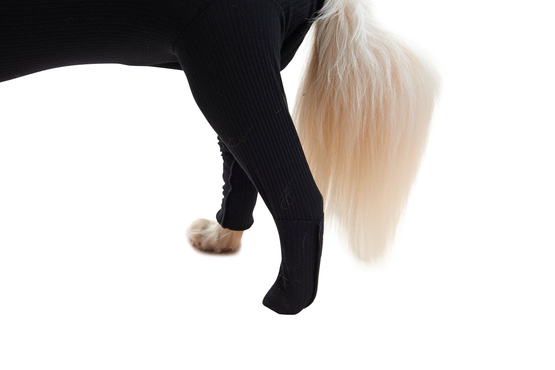 KRUUSE | BUSTER body sleeves patas traseras - secondary detail or packaging