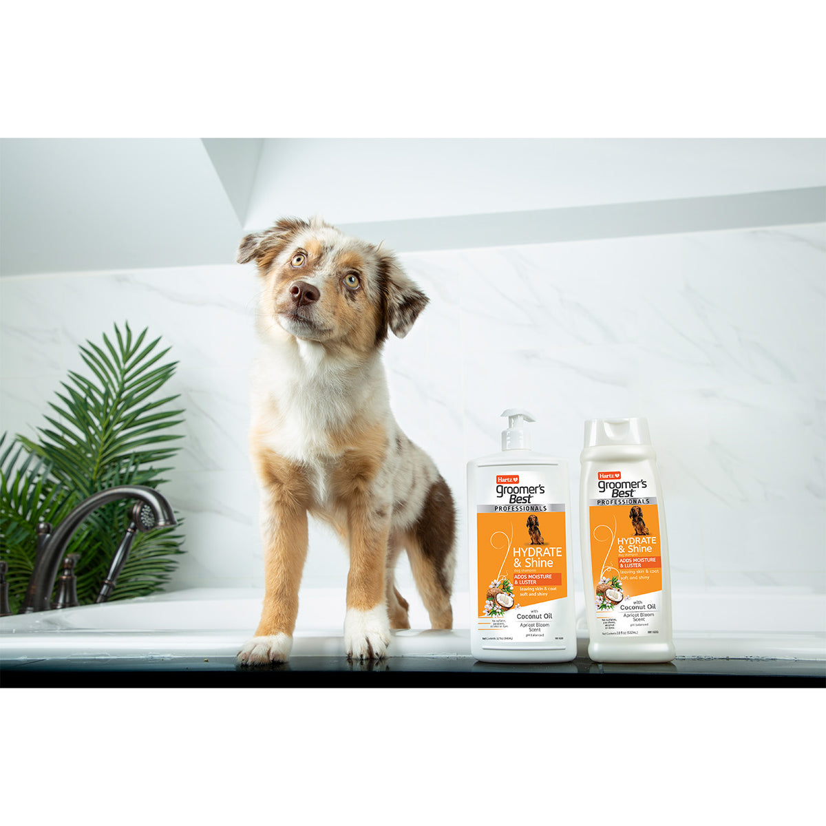 Hartz Groomer's Best Professionals Hydrate & Shine Shampoo (532 ml)