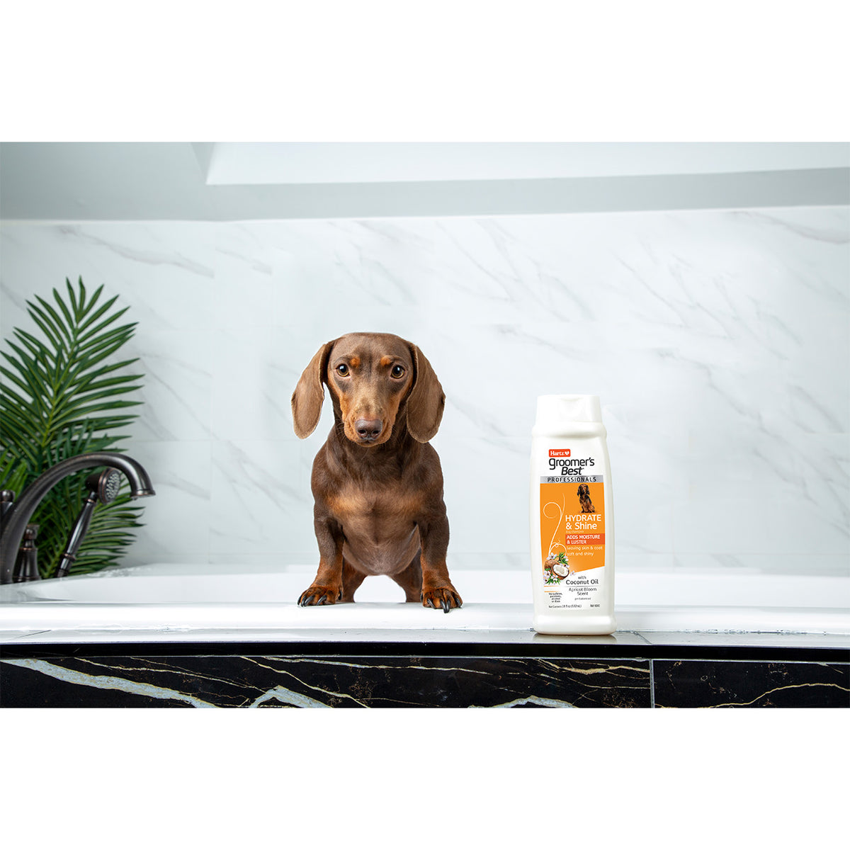 Hartz Groomer's Best Professionals Hydrate & Shine Shampoo (532 ml)