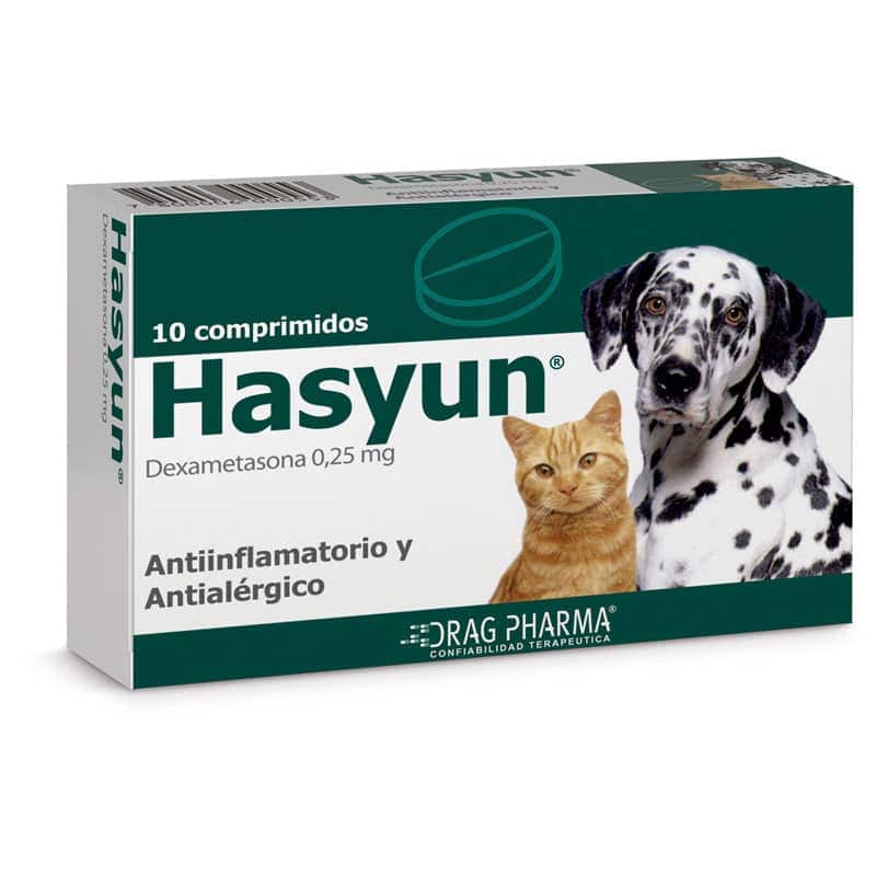 Hasyun - imagen principal
