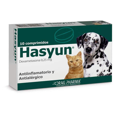 Hasyun - imagen principal
