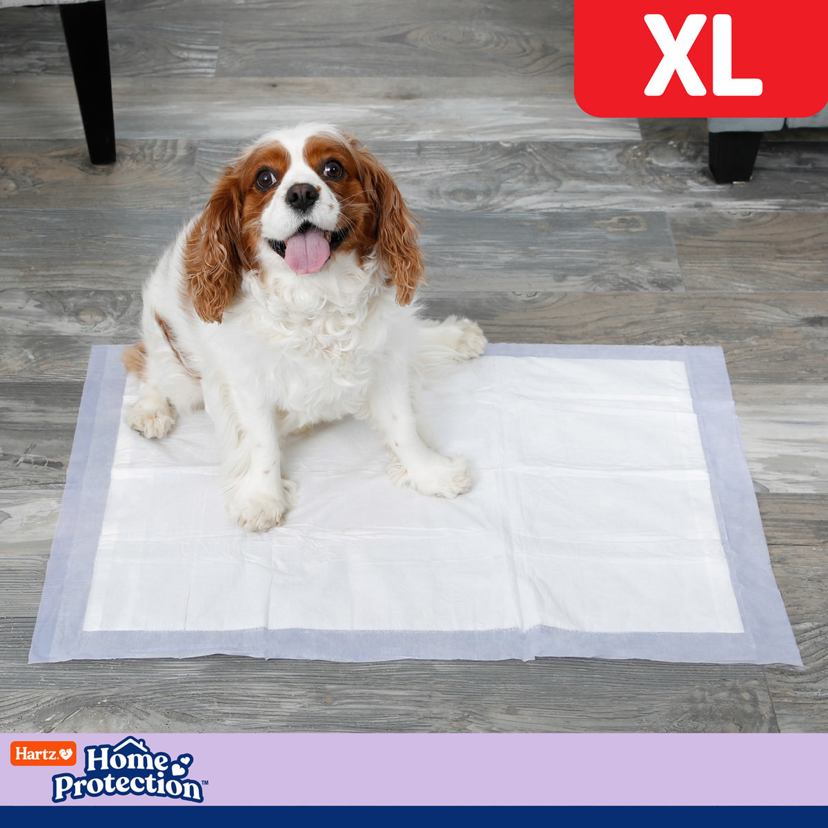 Hartz Training Pads XL Odor Eliminating — 30 unid. (lavanda)