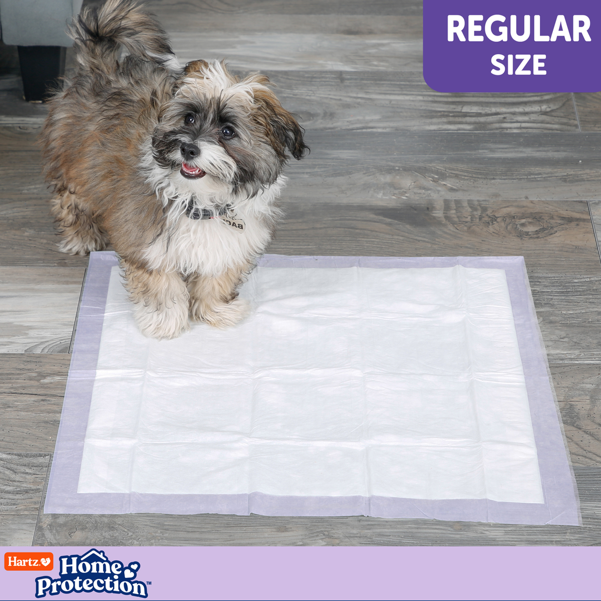 Hartz Training Pads Odor Eliminating — 50 unid. (lavanda)