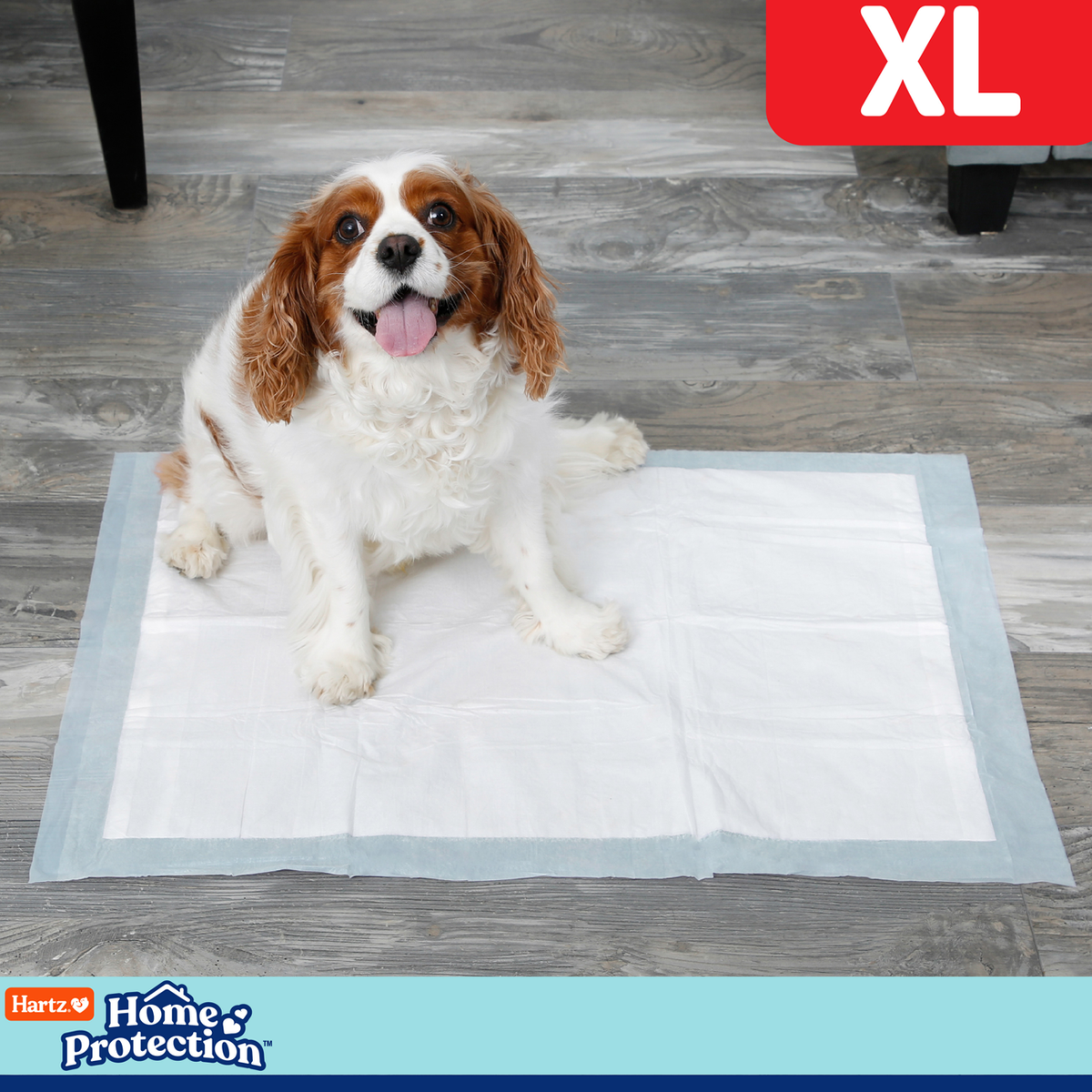 Hartz Training Pads XL — 30 unid.
