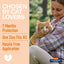 Hartz Ultraguard Collar Reflective For Cats And Kittens