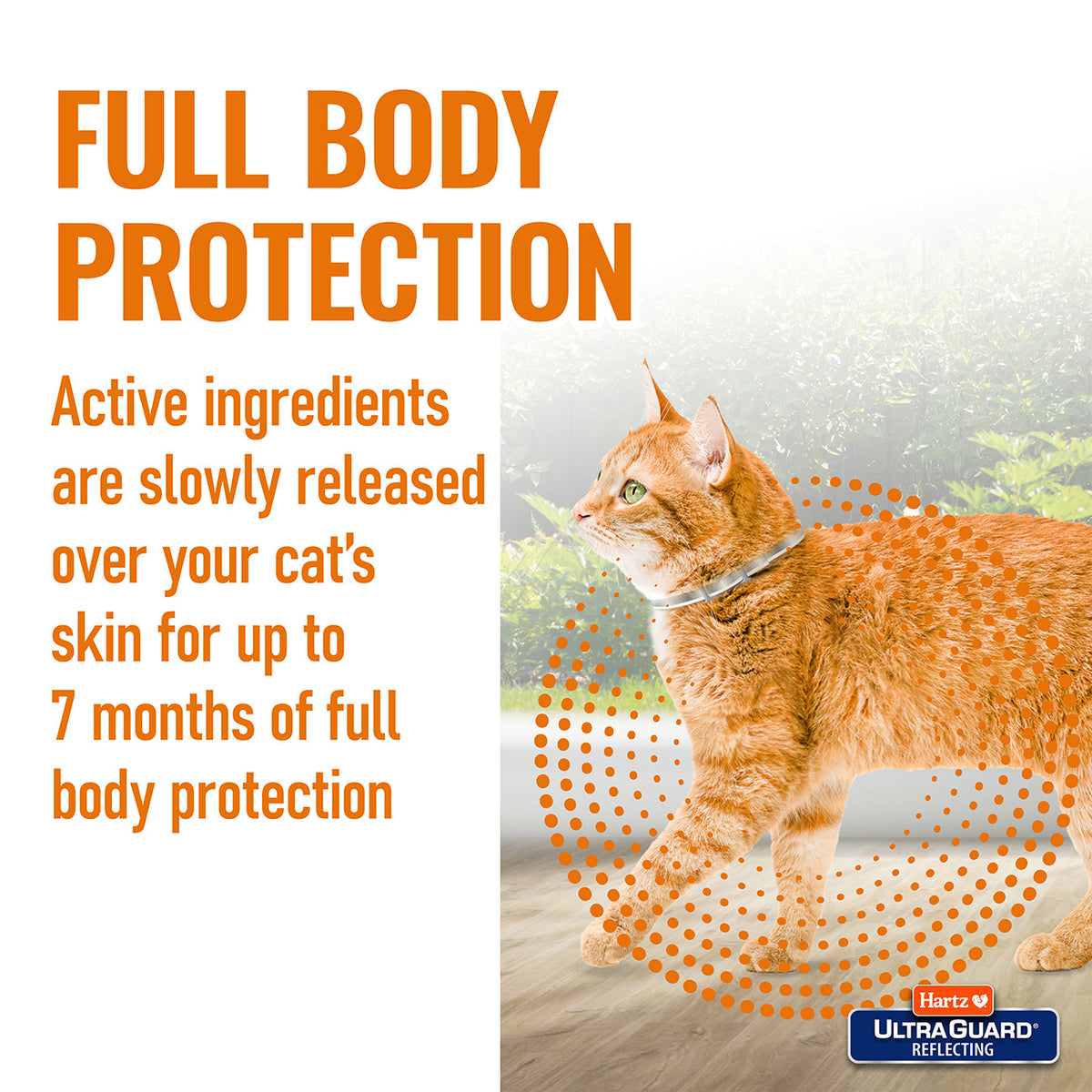 Hartz Ultraguard Collar Reflective For Cats And Kittens