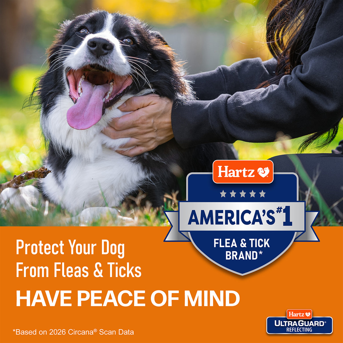 Hartz Ultraguard Collar Reflective For Dogs