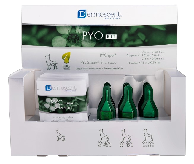 Dermoscent PYO Kit: 15 pipetas PYOspot y 15 sachets PYOClean Shampoo