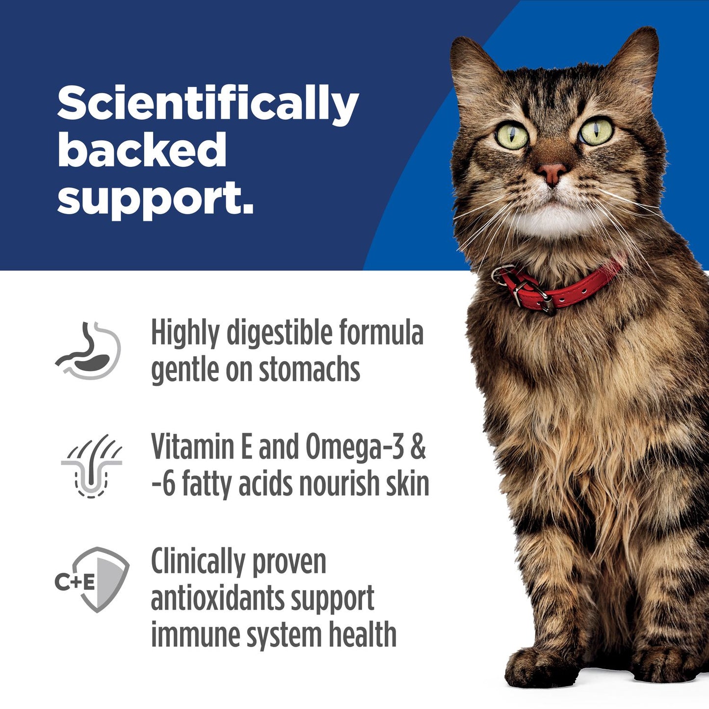 Hill's Science Diet | Alimento seco para gatos adultos Adult Sensitive Stomach & Skin. Receta de pollo