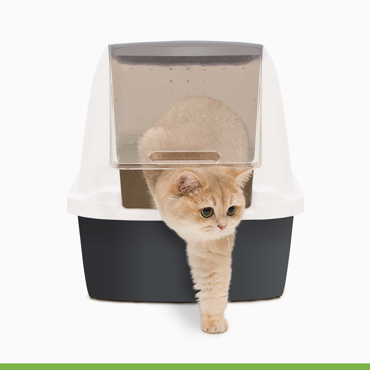 Catit Arenero Airsift