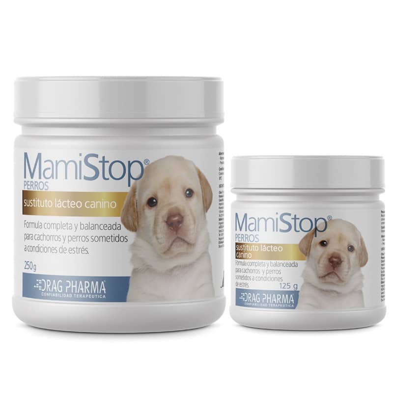 Mamistop Perros - imagen principal