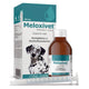 Meloxivet - imagen principal