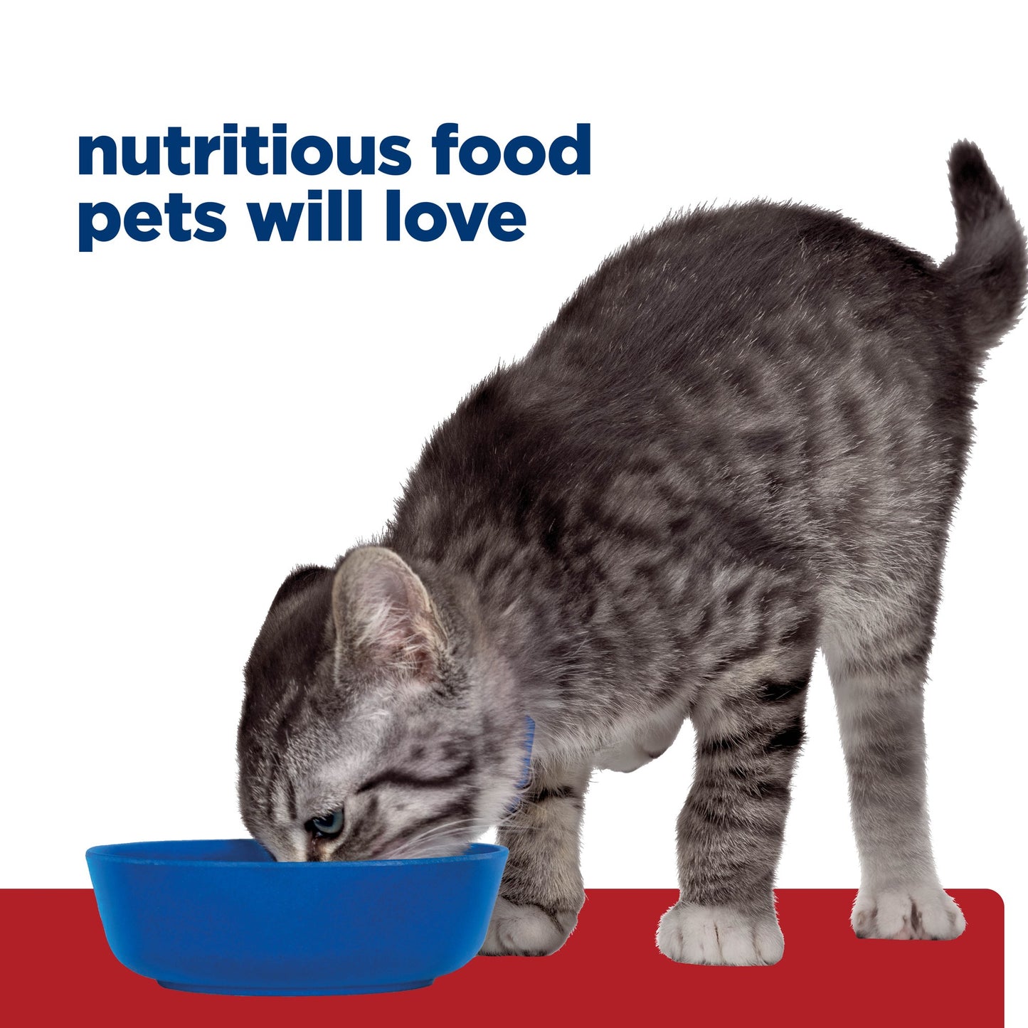 Hill's Prescription Diet i/d Kitten Pate