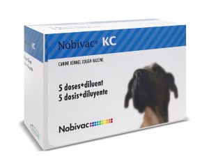 MSD Nobivac KC