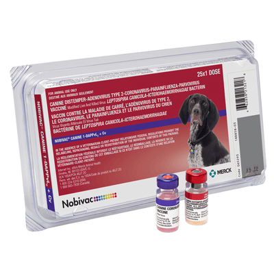 MSD Nobivac DAPPvL2+Cv