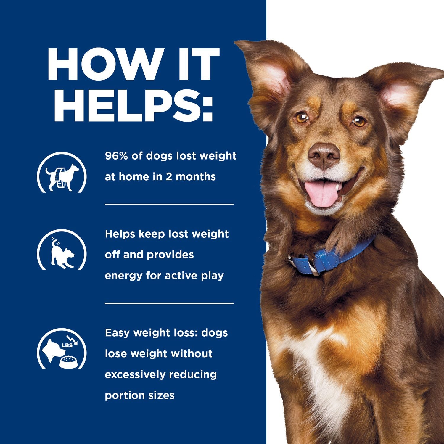 Hill's Prescription Diet | Alimento seco para perros Metabolic Small Bites