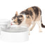 Outlast™ Pet Fountain