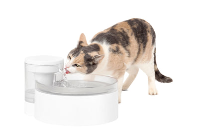 Outlast™ Pet Fountain