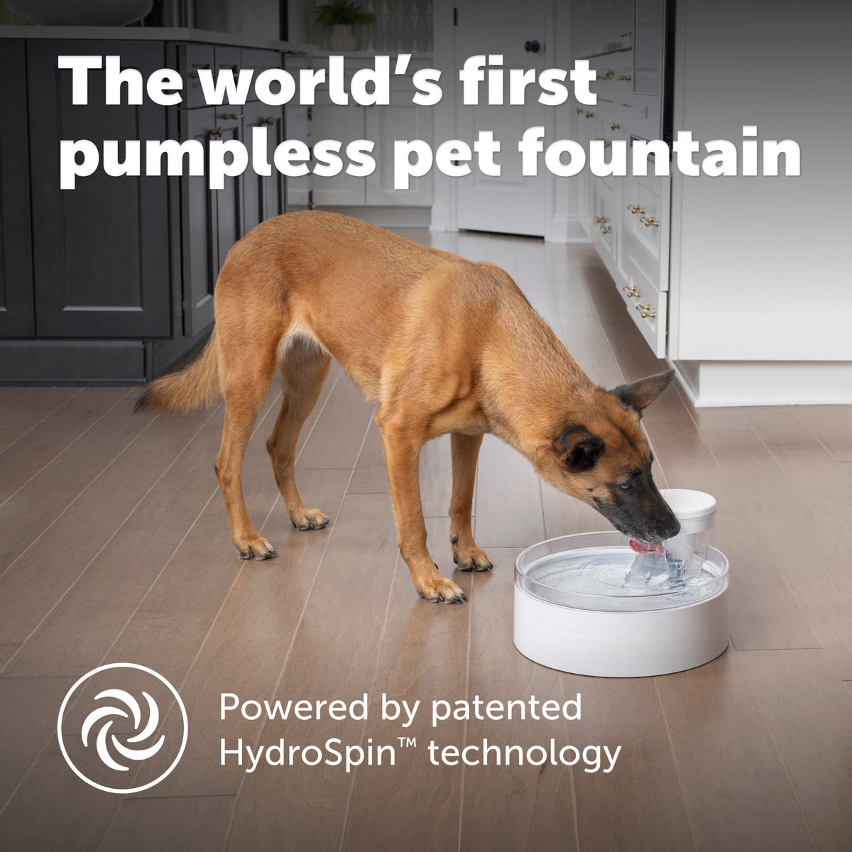 Outlast™ Pet Fountain