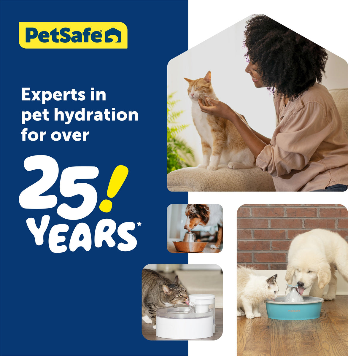 Outlast™ Pet Fountain