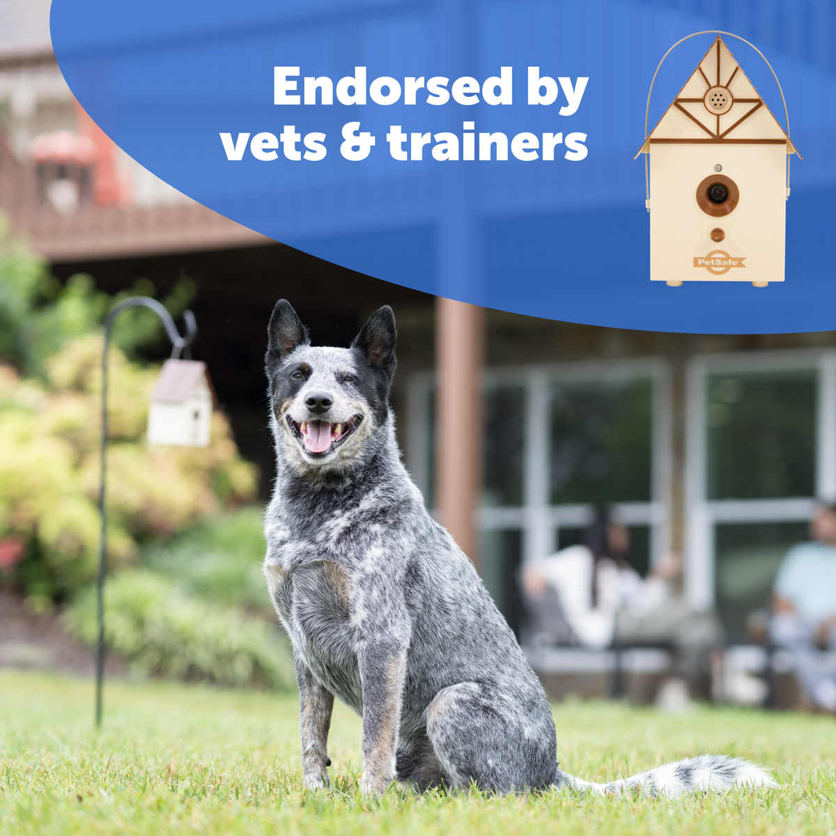 Outdoor Bark Control