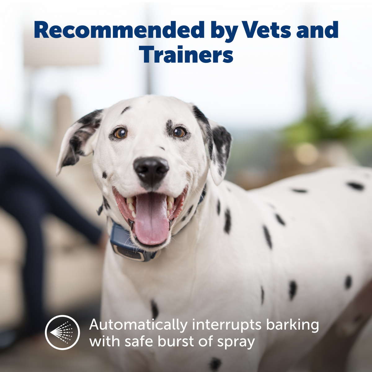 Spray Bark Collar