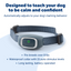 Classic Bark Collar