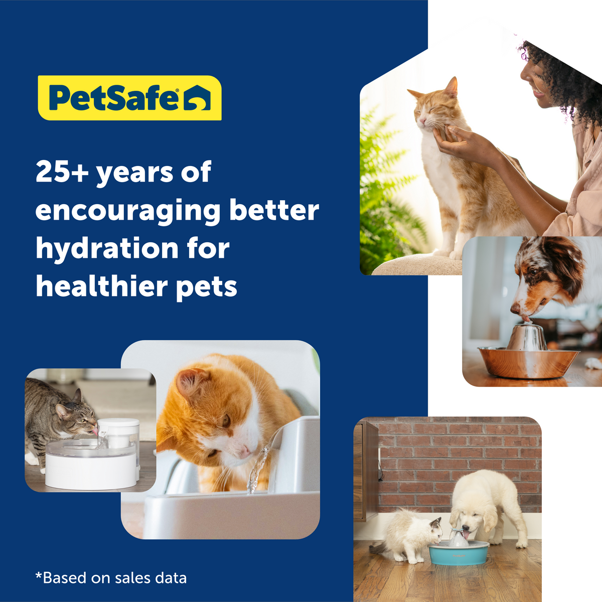 Viva™ Pet Fountain