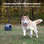 Automatic Ball Launcher