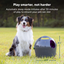 Automatic Ball Launcher