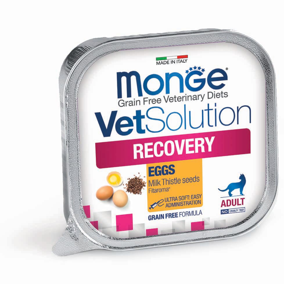 Monge VetSolution | Alimento húmedo para gatos Recovery