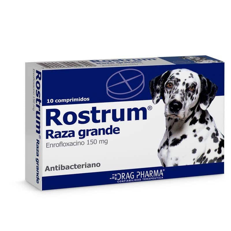 Rostrum Raza Grande - imagen principal