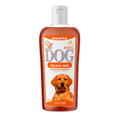 Sir Dog Bronze - imagen principal