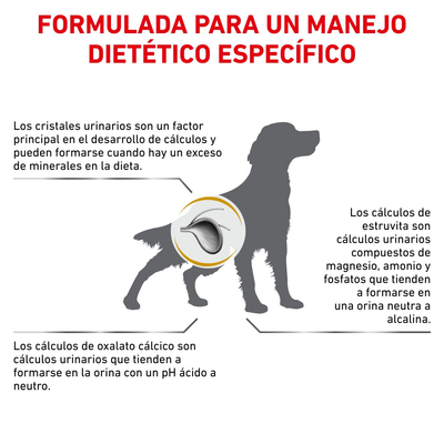 ROYAL CANIN | Alimento seco para perros Urinary S/O