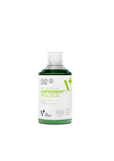 Vet Expert | Caryodent Proliquia Diagnóstico Test De Diagnóstico Perro