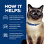 Hill's Prescription Diet | Alimento húmedo para gatos Food Sensitivities z/d (Pack de 6 latas de 156 g)