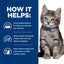 Hill's Prescription Diet | Alimento seco para gatitos Digestive Care i/d