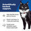 Hill's Science Diet | Alimento seco para gatos adultos Adult Sensitive Stomach & Skin. Receta de pollo