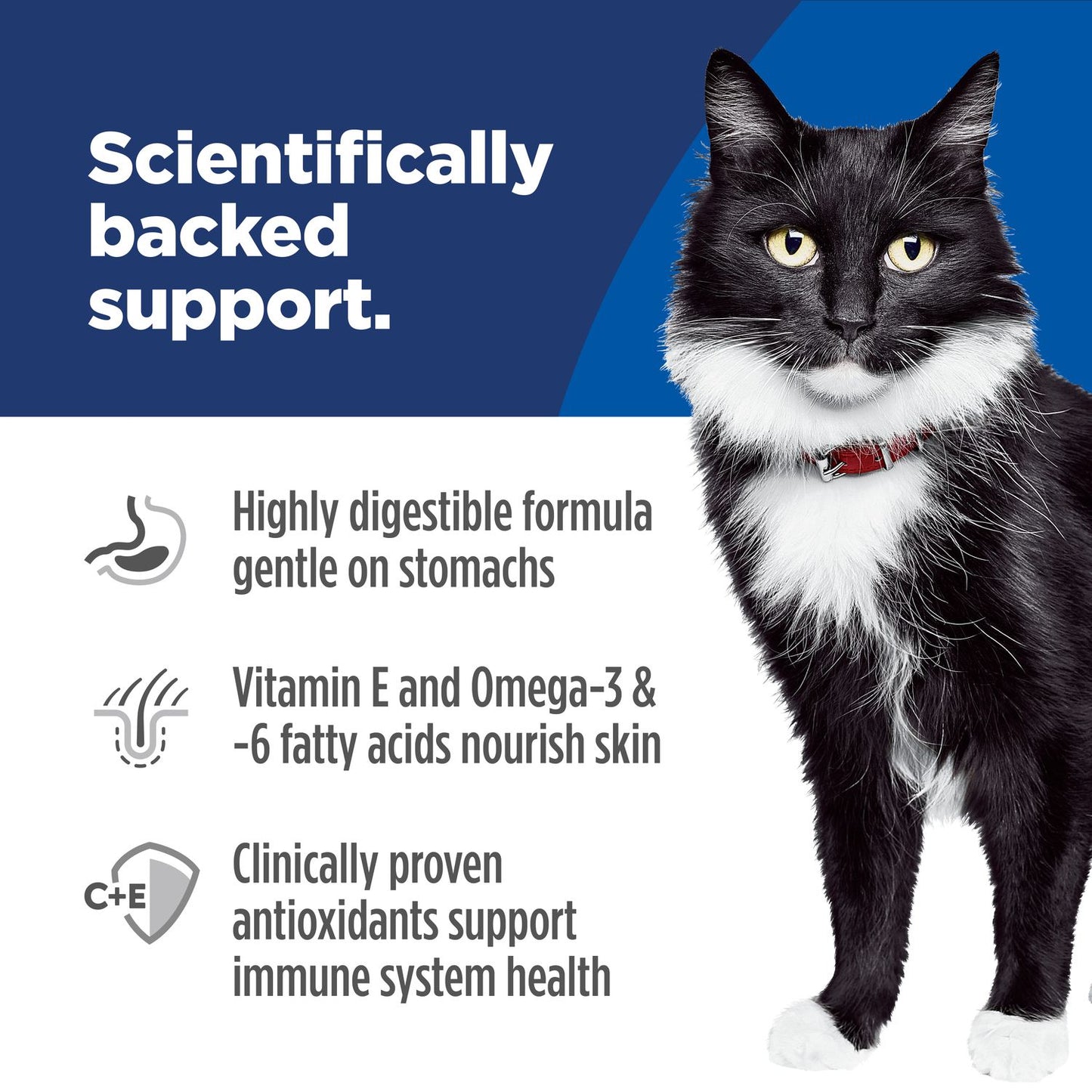 Hill's Science Diet | Alimento seco para gatos adultos Adult Sensitive Stomach & Skin. Receta de pollo