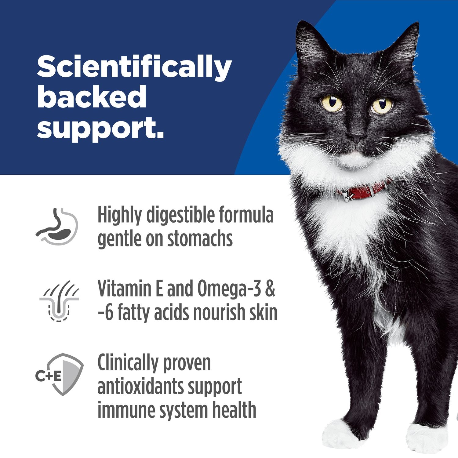 Hill's Science Diet | Alimento seco para gatos adultos Adult Sensitive Stomach & Skin. Receta de pollo