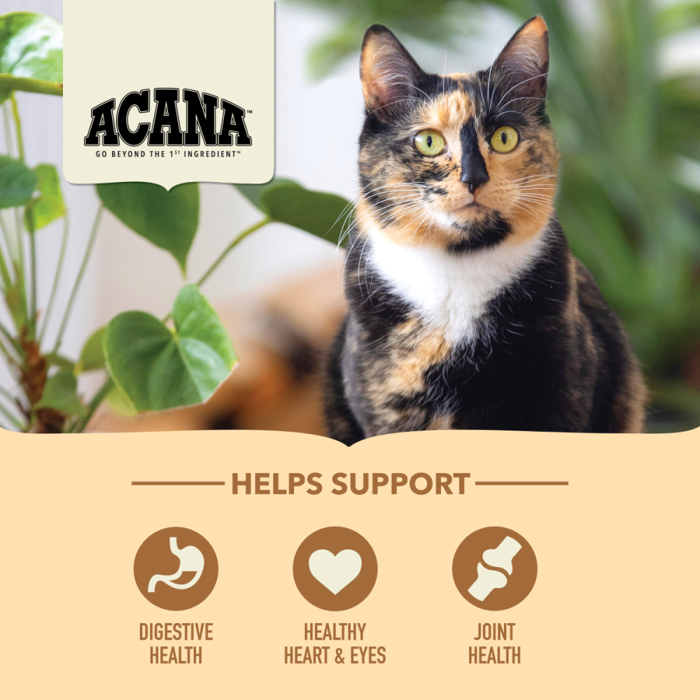 ACANA | Alimento seco para gatos sénior Senior Entrée — imagen 4 — CACSF2B201331K04500