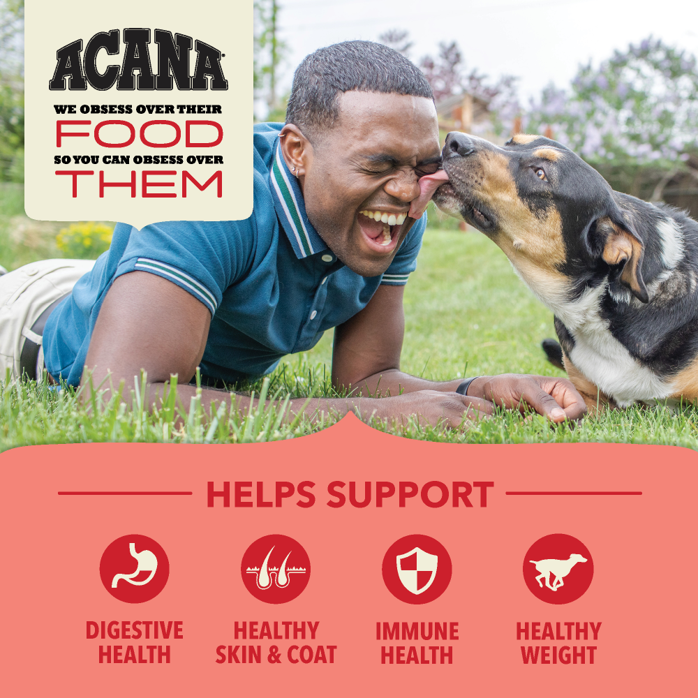 ACANA | Alimento seco para perros Red Meat & Grains Recipe — imagen 3 — CACWF1B202032K10200