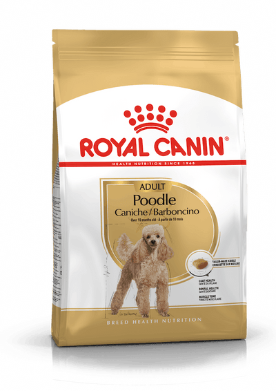 ROYAL CANIN | Alimento seco para perros adultos Poodle
