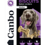 Canbo | BISCUITS CORDERO AD